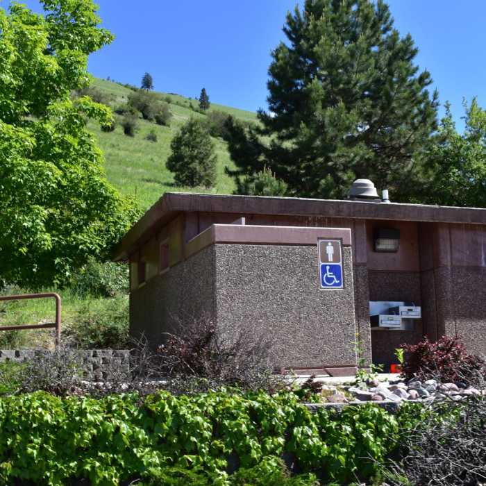 Near University Mountain via Kim Williams Trail