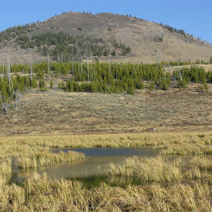 Near Bunsen Peak Trail