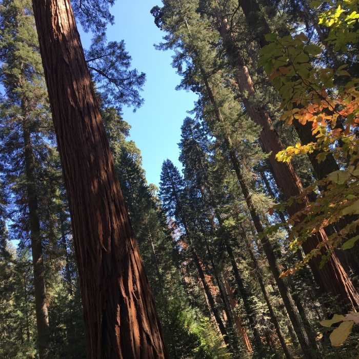 Near Bear Hill Trail
