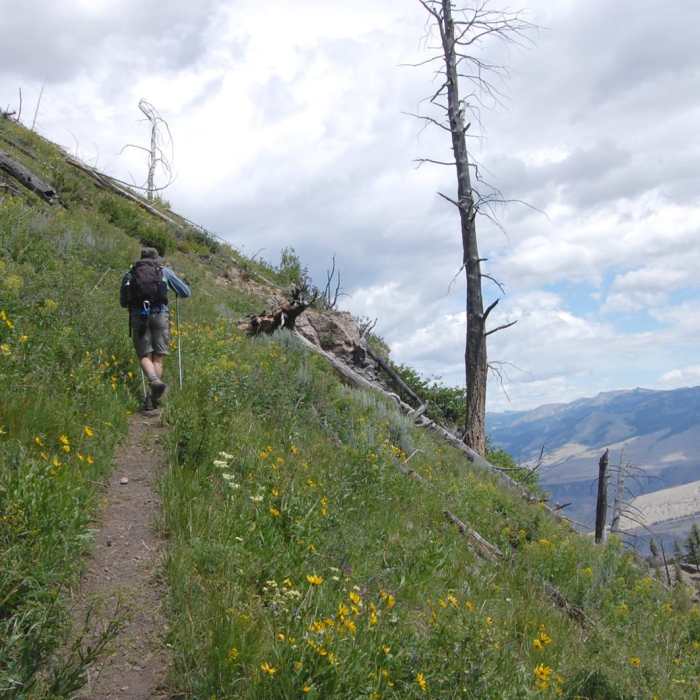 Near Sepulcher Mountain