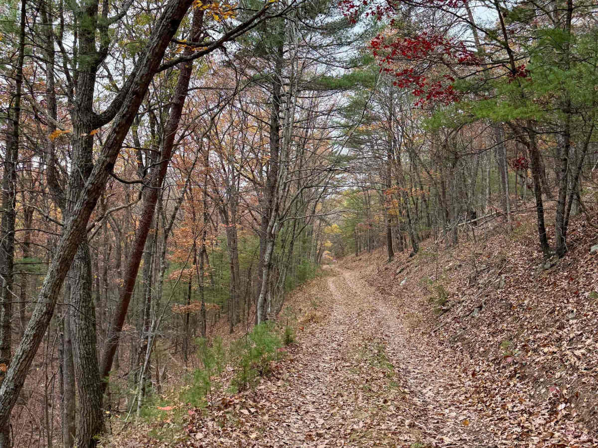 Mitchell Knob Trail photo 4