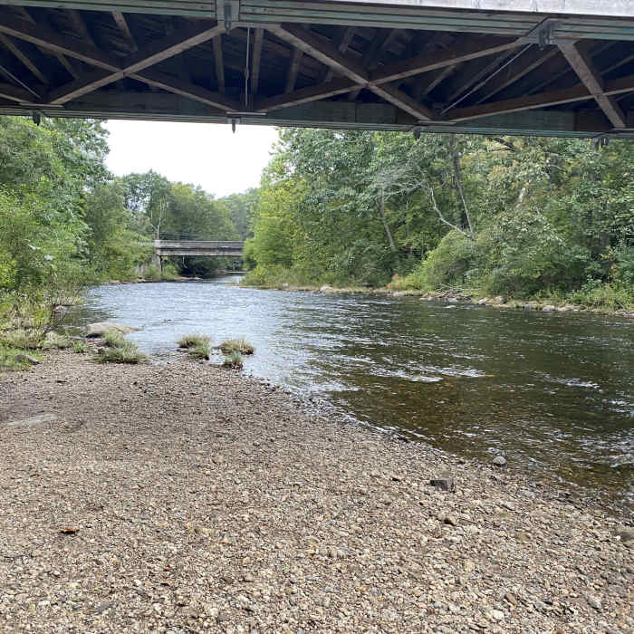 Near Salmon River Trail (Blue Trail)