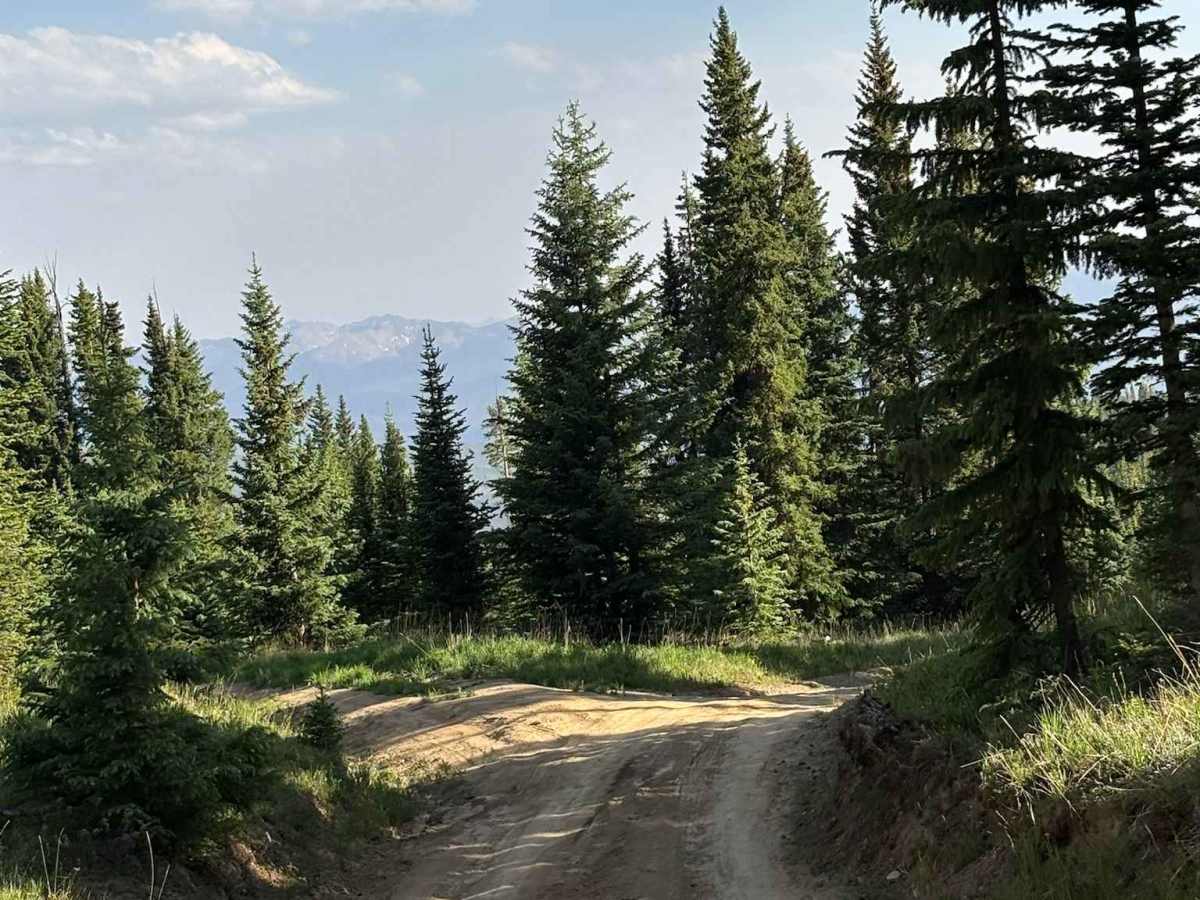 Hat Creek Road photo 3