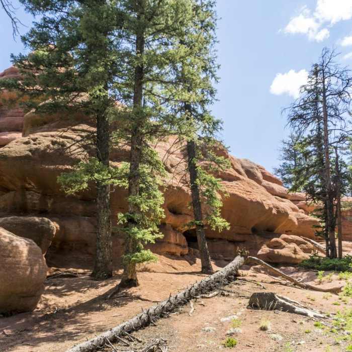 Near Red Rocks Trail Hike