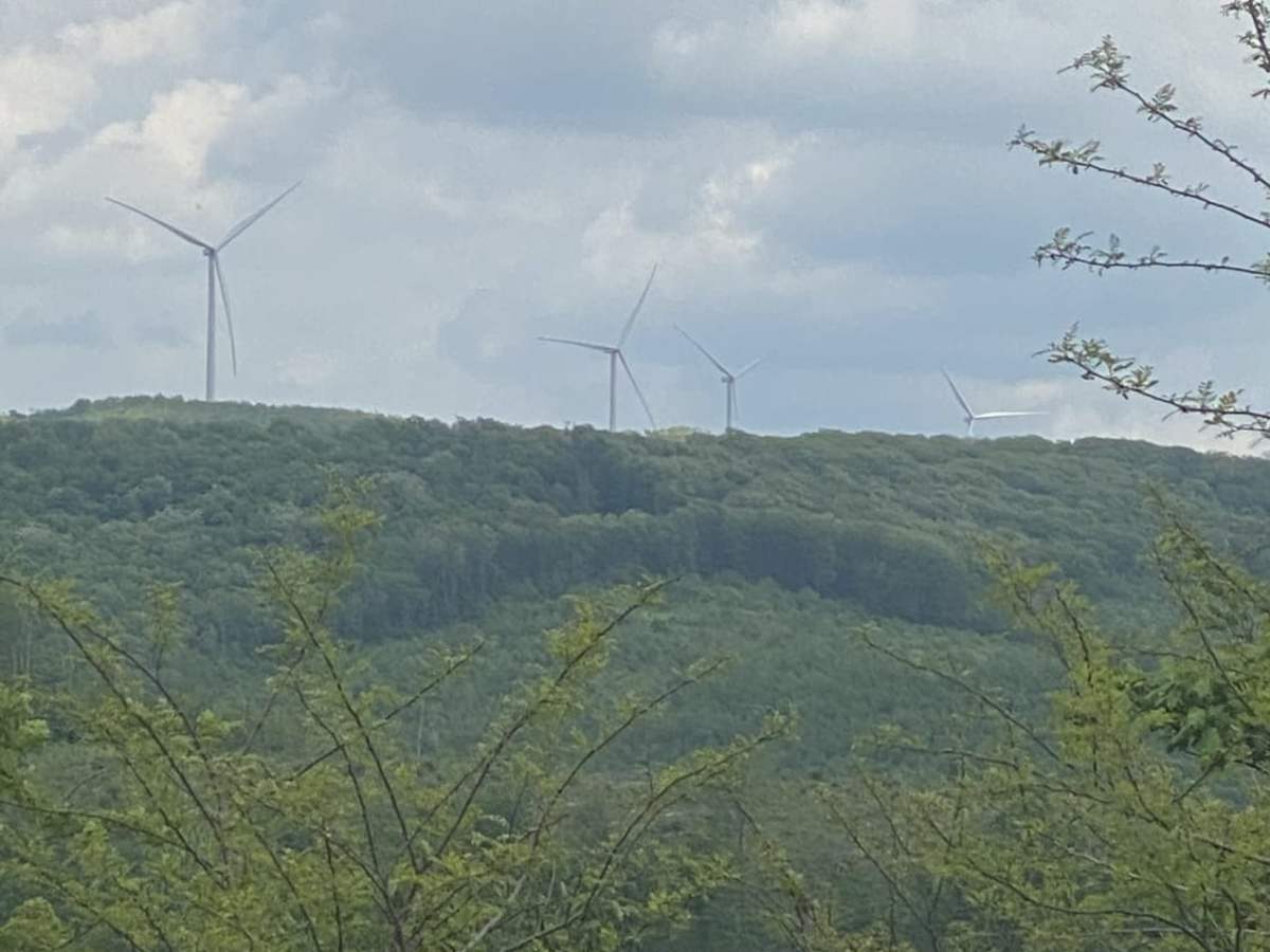 Nettie to Richwood trail photo