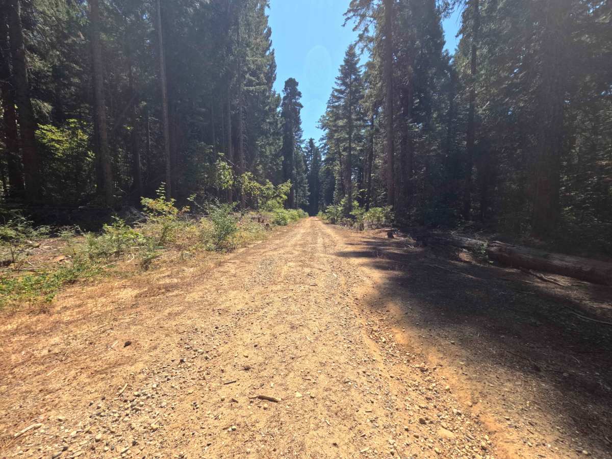 Upper French Creek - FS 21N56 photo 2