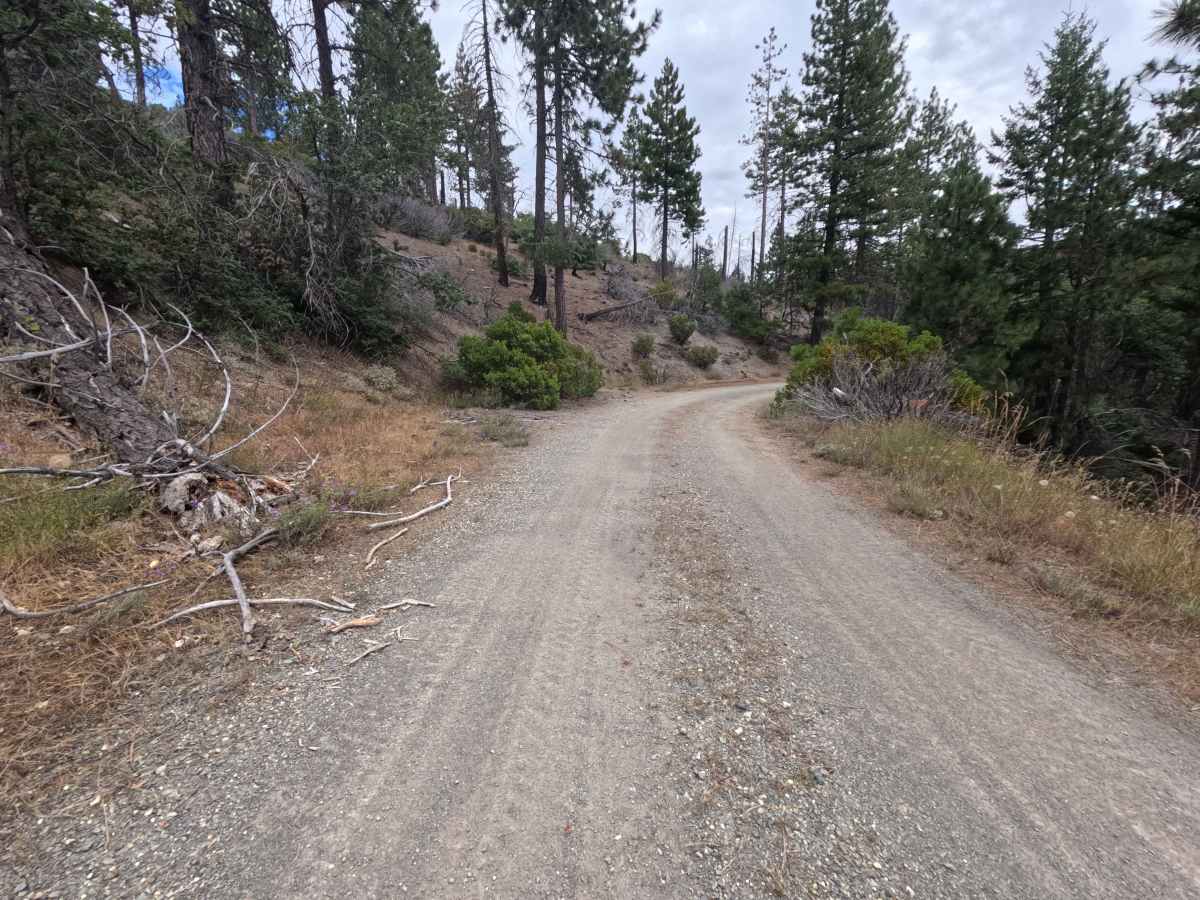 Lower Jumbo Springs - FS 20N63 photo 6