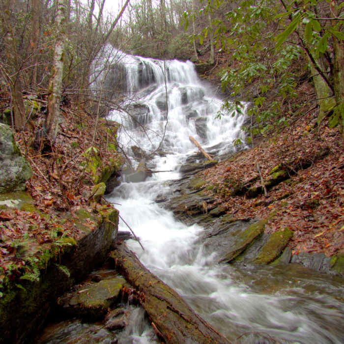 Near Denton Creek Falls Trail Near Denton Creek Falls Trail