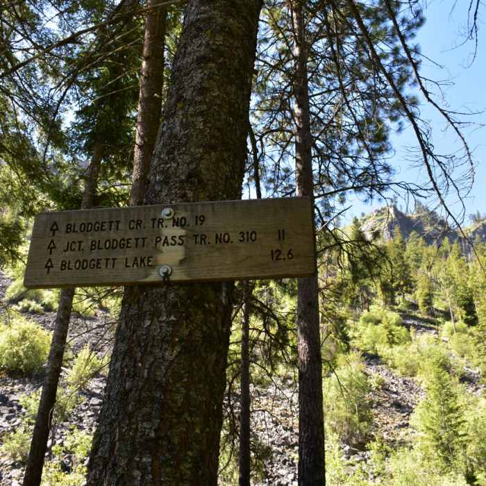 Near Blodgett Canyon