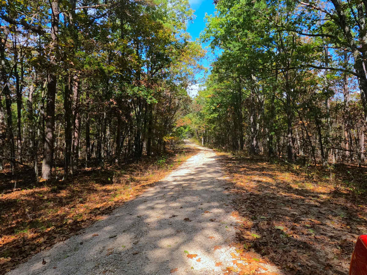 Lindsey Mountain - FS 2359 photo 6