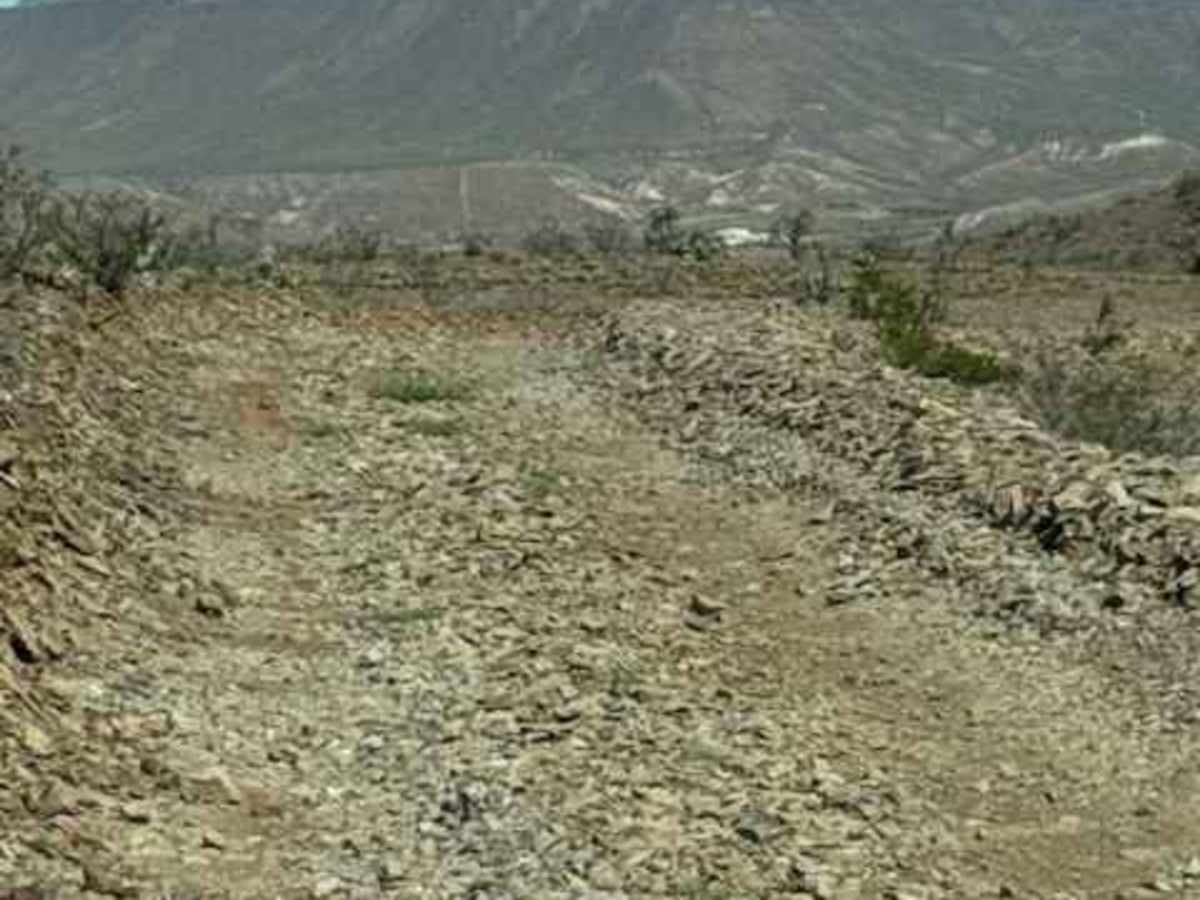 BLM PE1025 photo 3