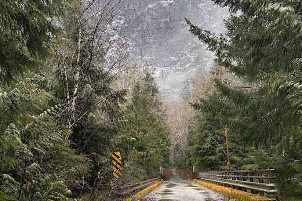 North Fork Road - FS 573