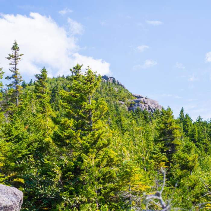 Near Noonmark Mountain