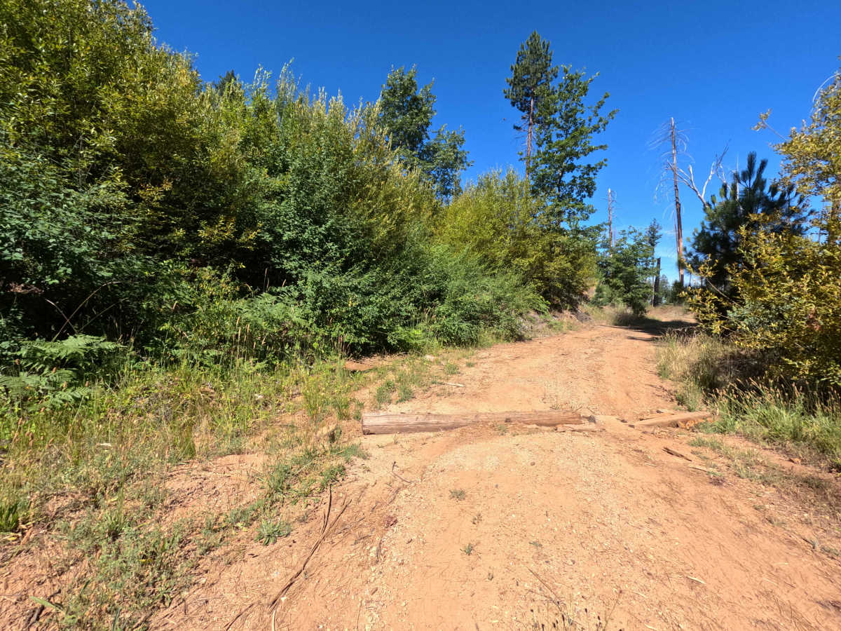 FS 1S71 photo 6