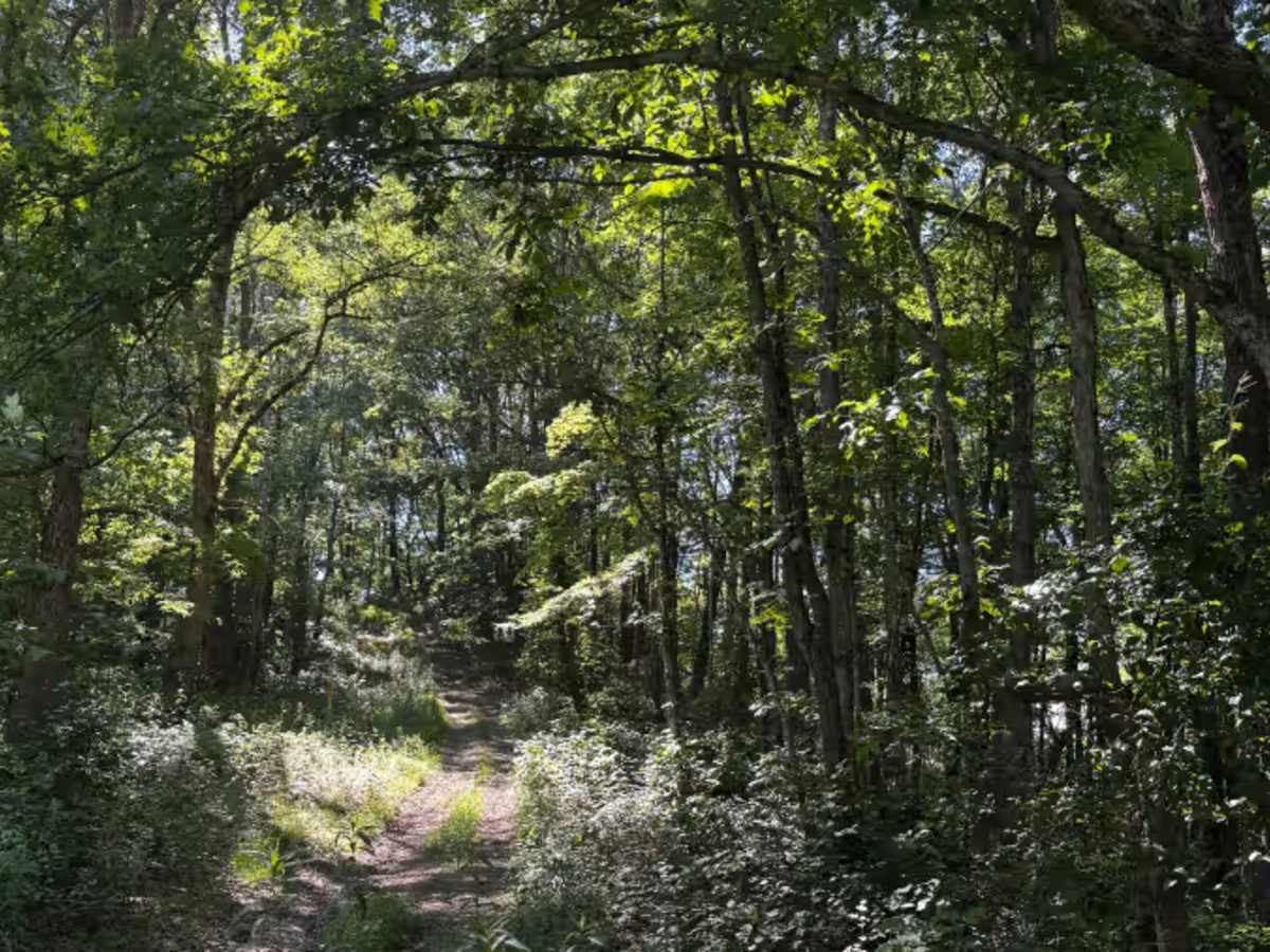 KC2C trail photo