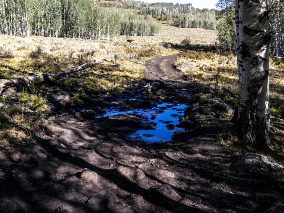 Sheep Valley Road photo 3