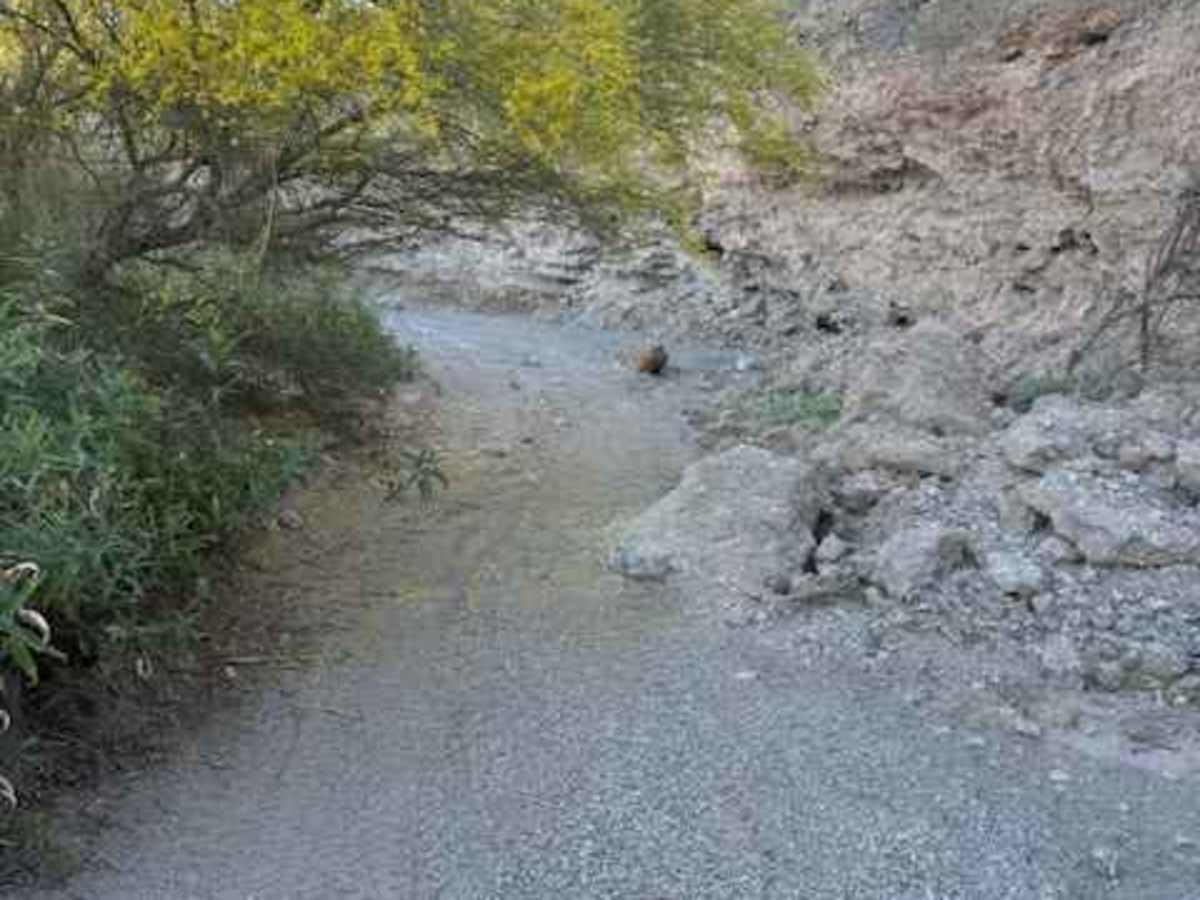 Nw2077a photo 6