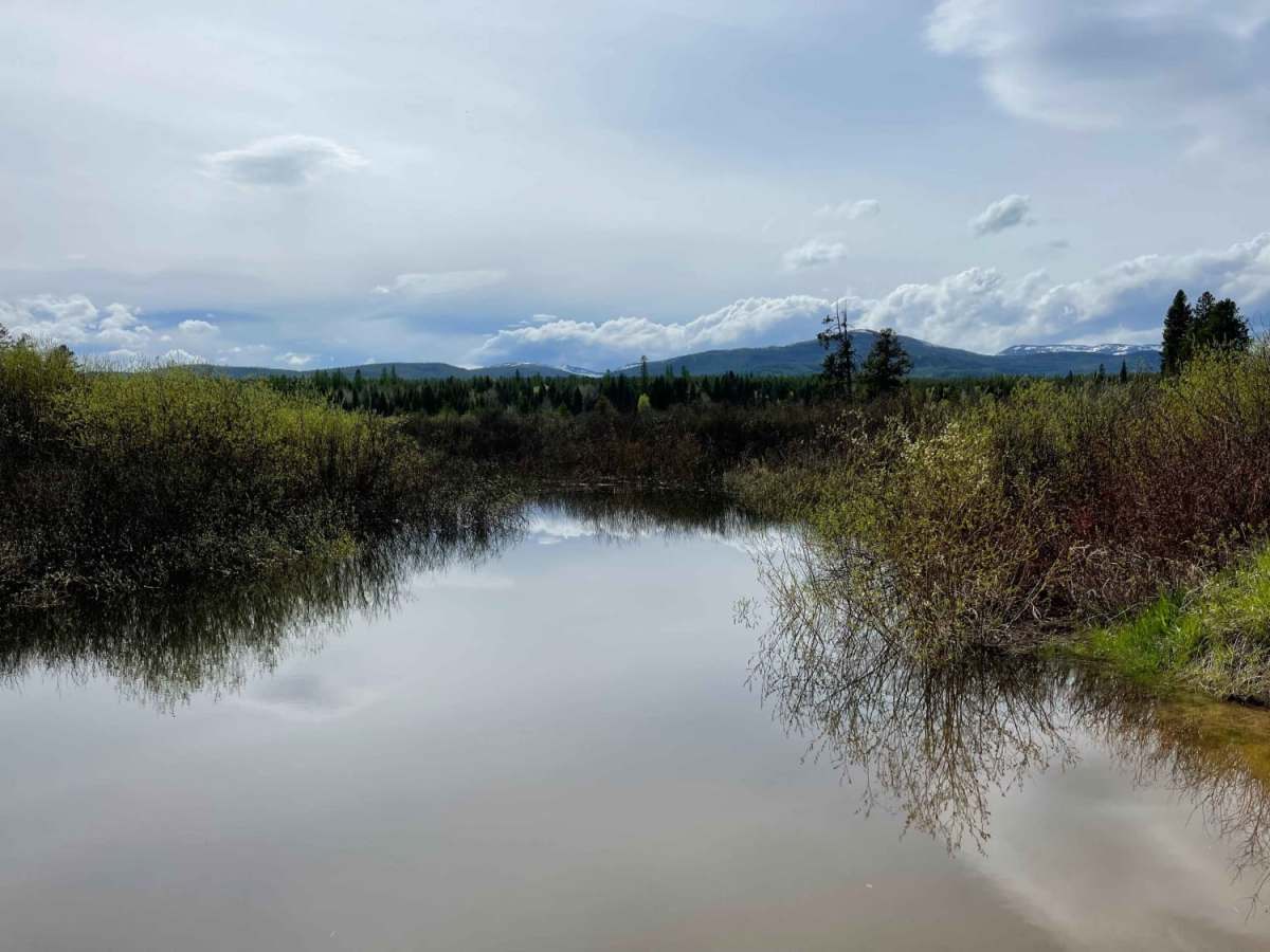 Clearwater Canoe Put In Trail trail photo
