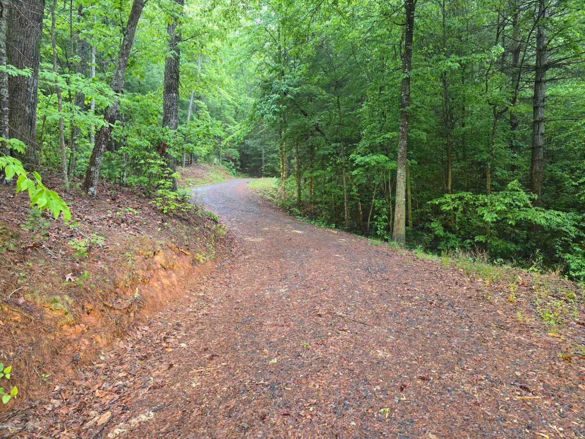 Micken Branch photo 3