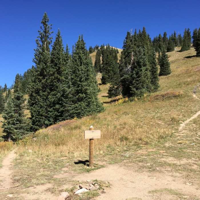 Near Manns Peak Trail #110