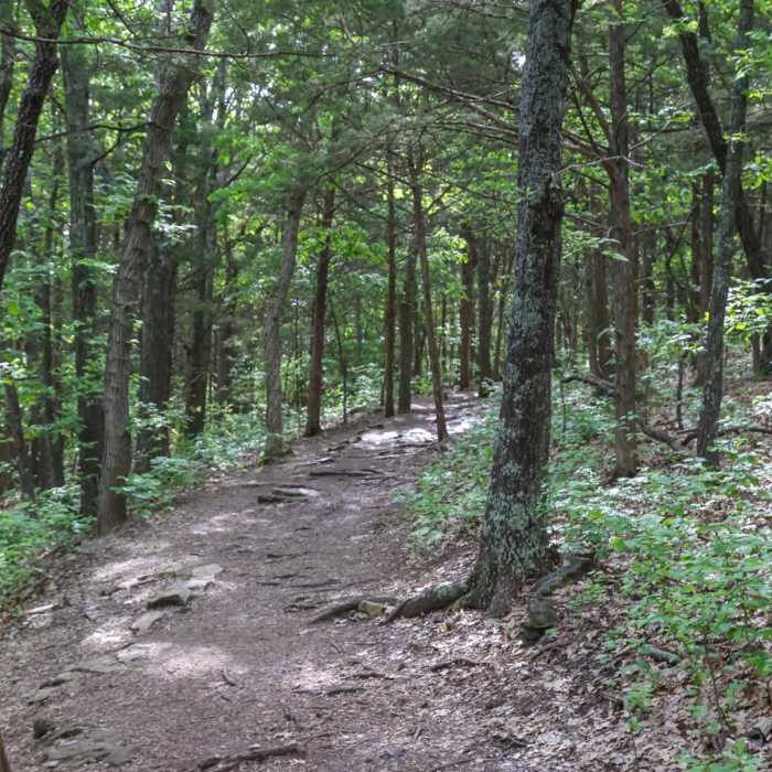 Near Glade Trail Near Glade Trail