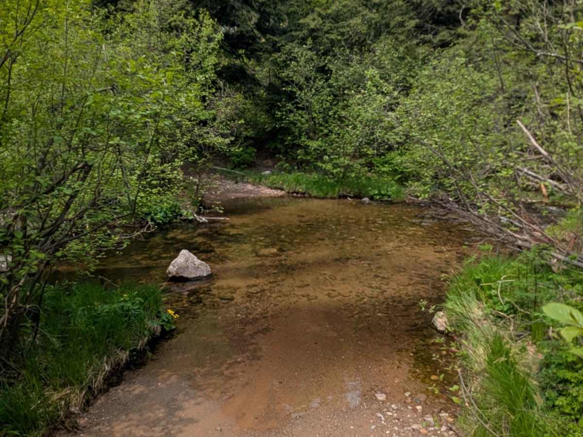 Northwestern Trail photo 5