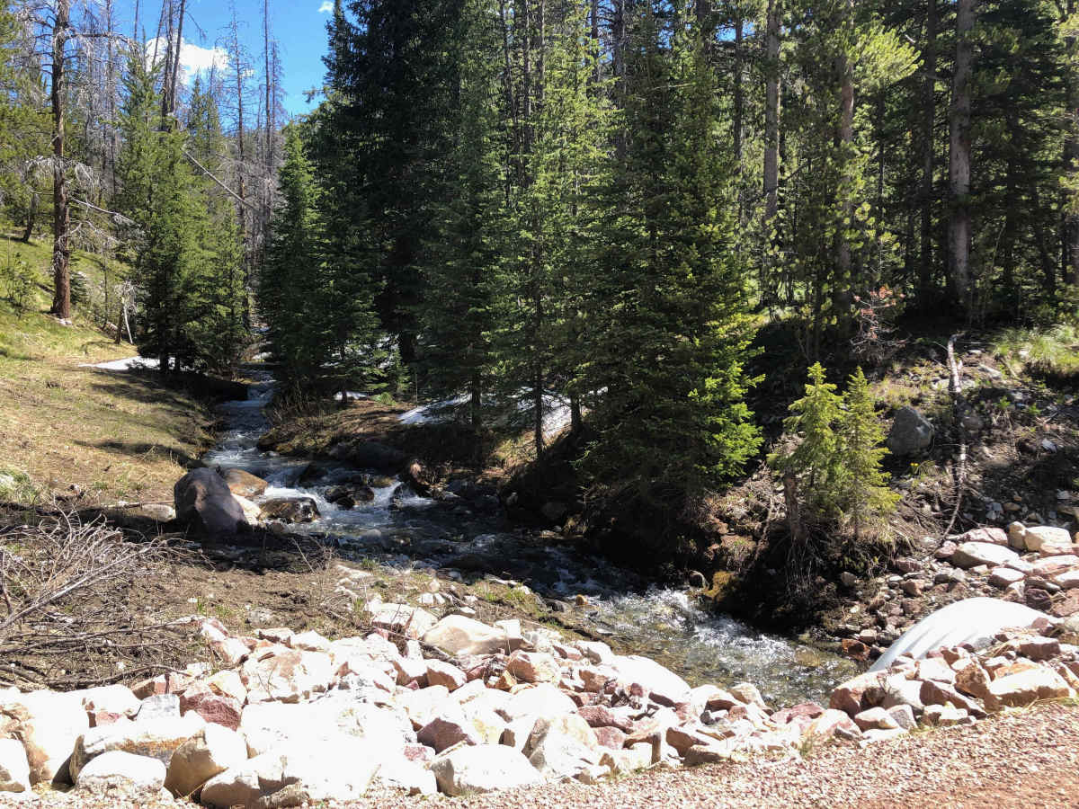 Warm Springs Creek Road 170 trail photo