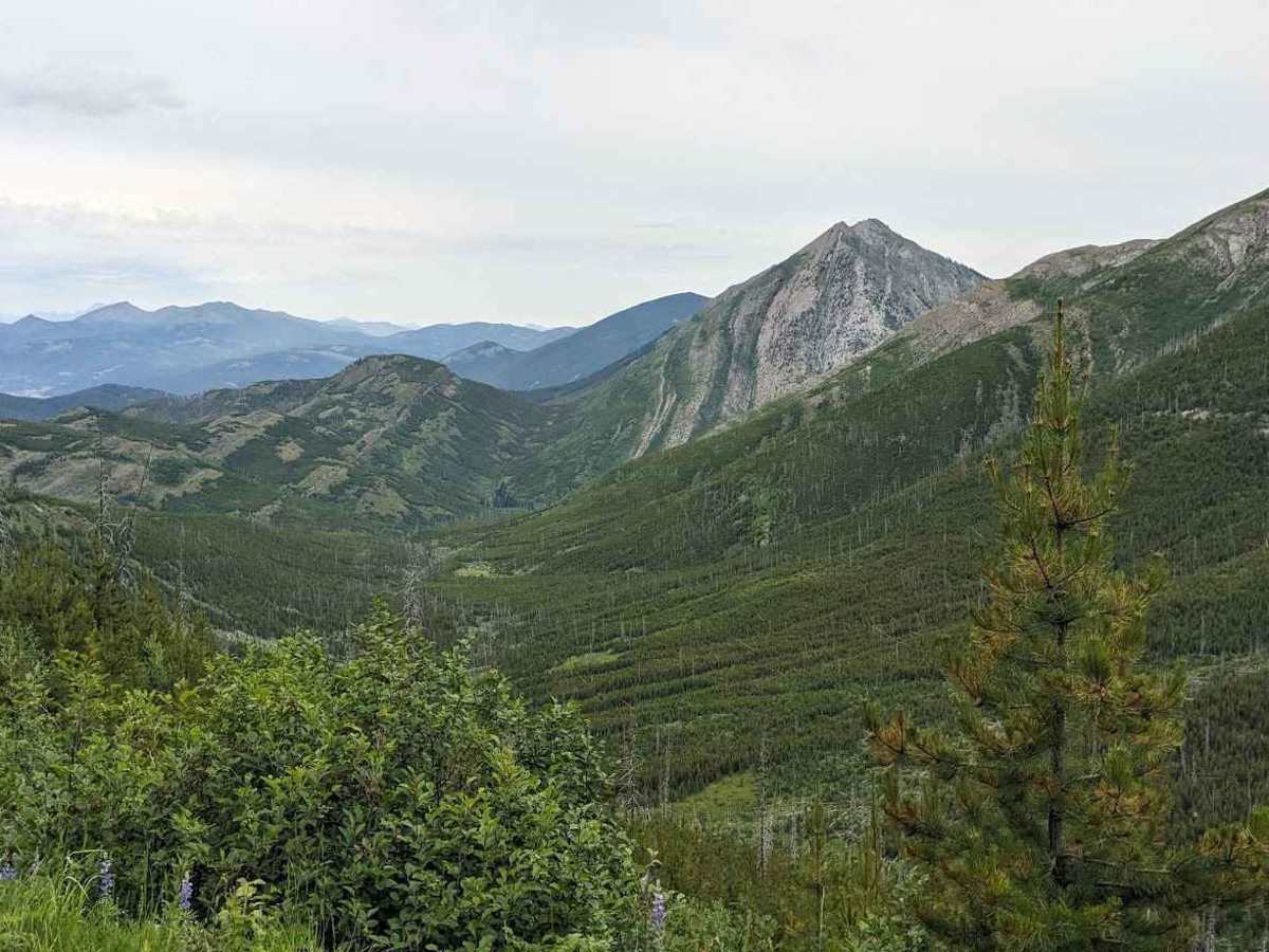 Heart Peak Trail 106 photo 6
