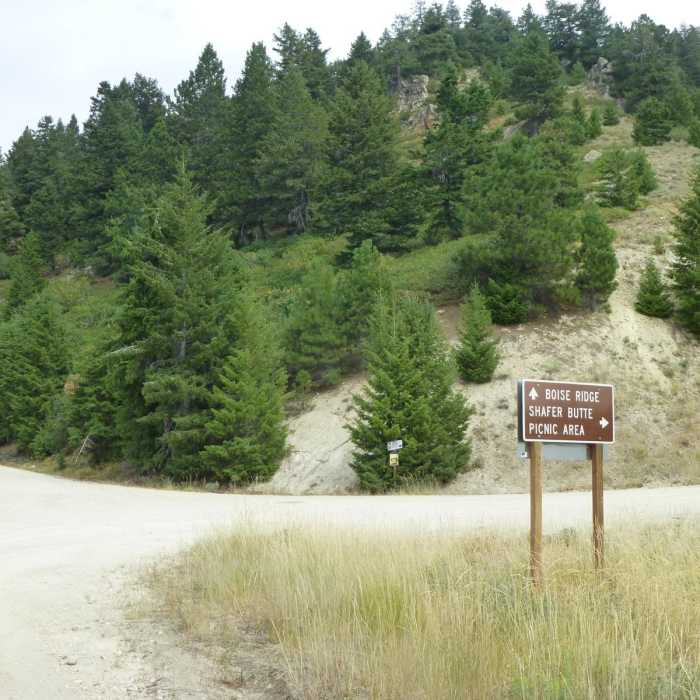Near Shafer Butte and Mores Mountain Trailhead