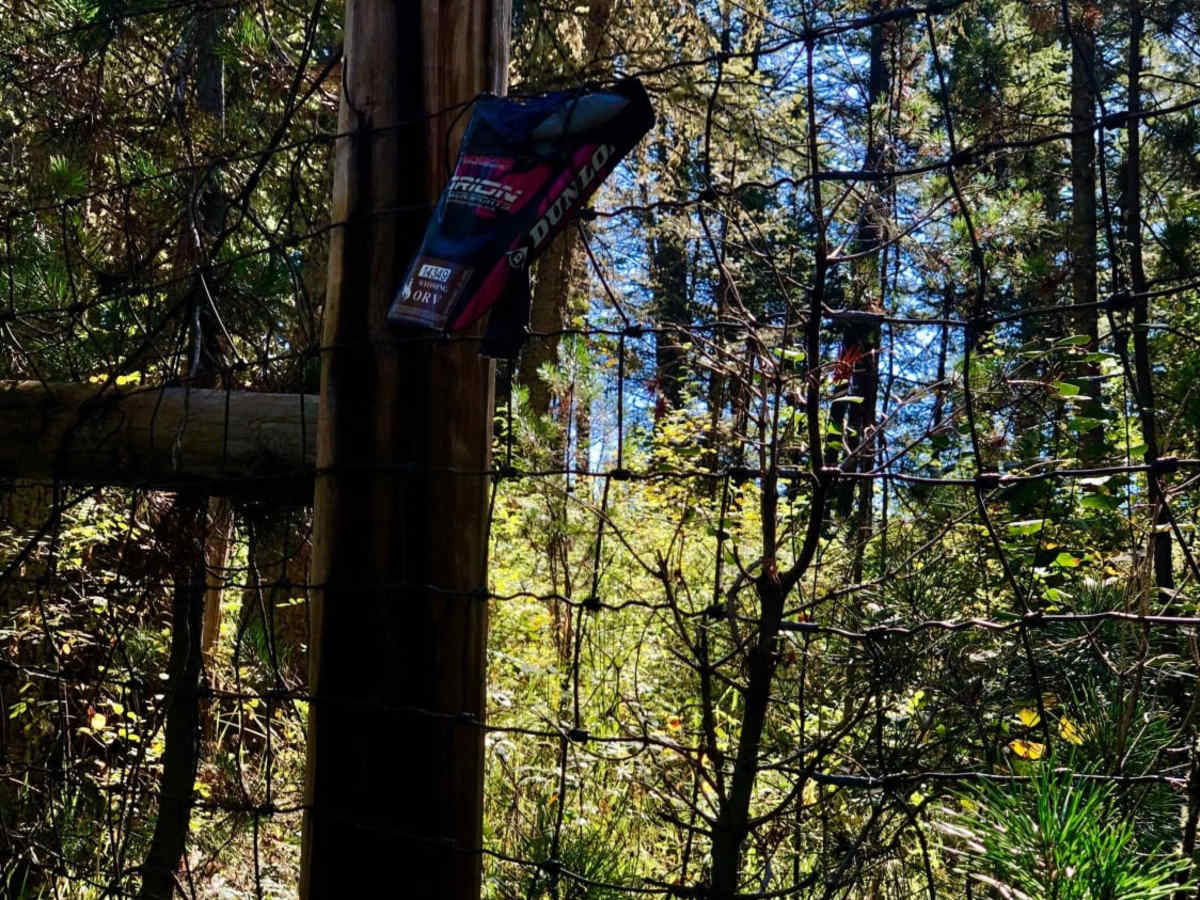 Stewart Trail photo 5