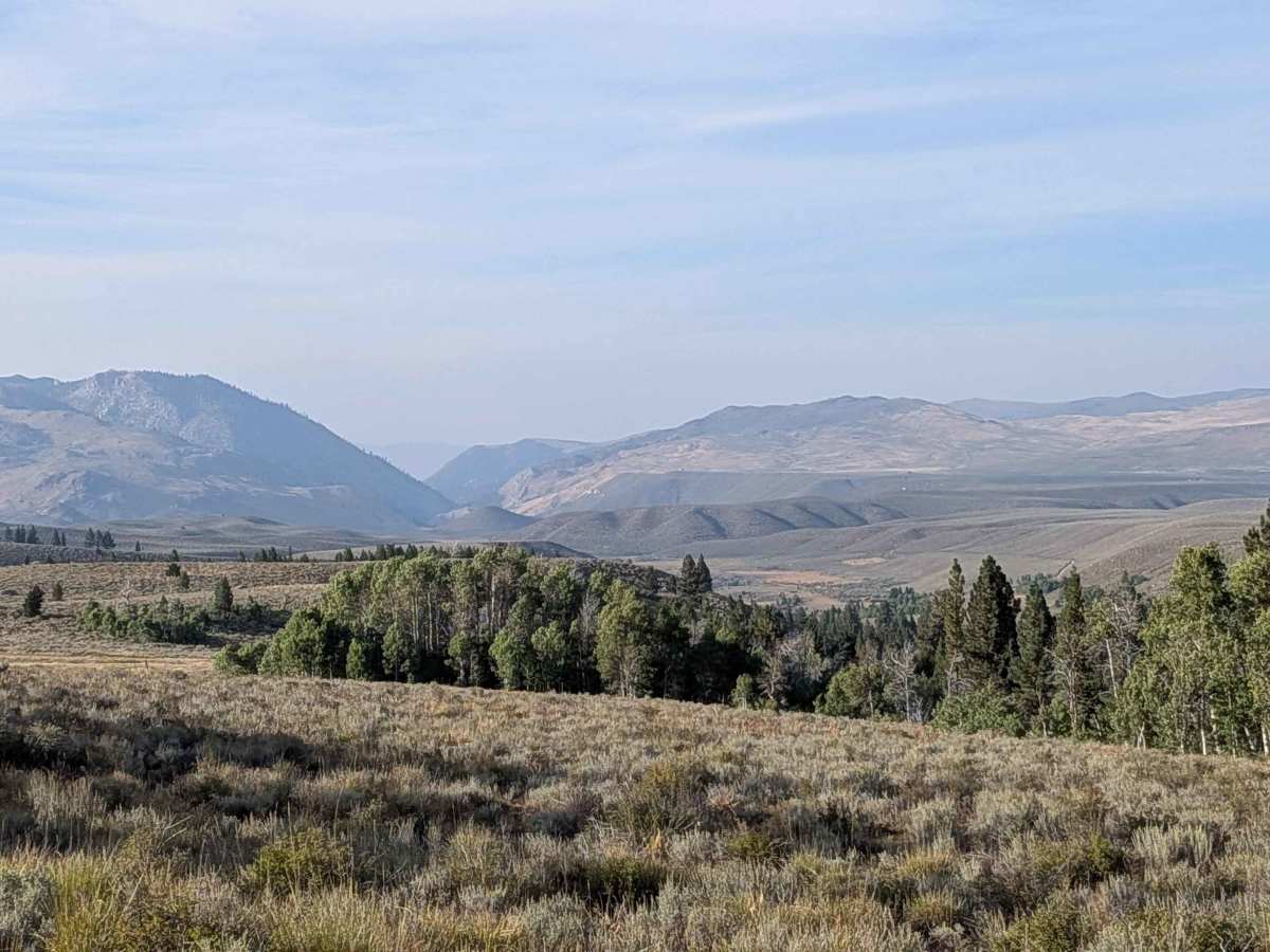 Little Walker Road - FS 22057 photo 4