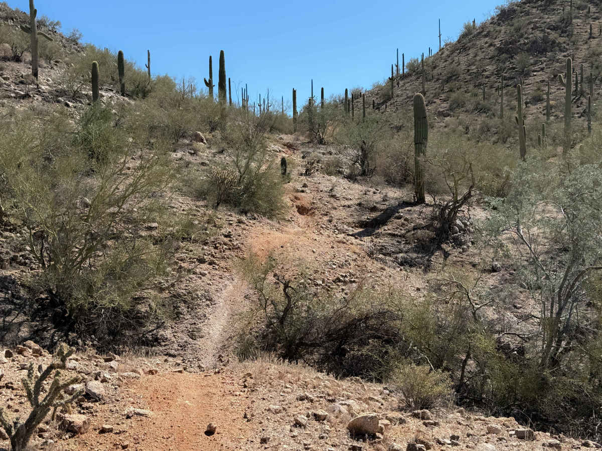 Bh1278 Singletrack  photo 4