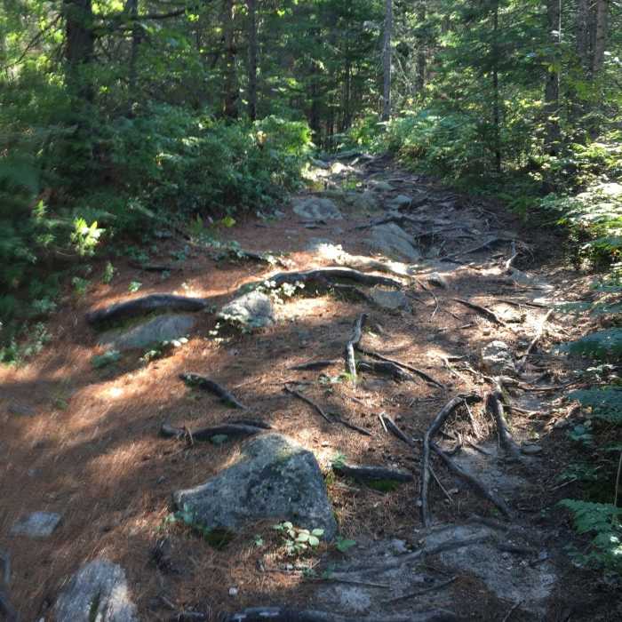 Near Turtle Mountain