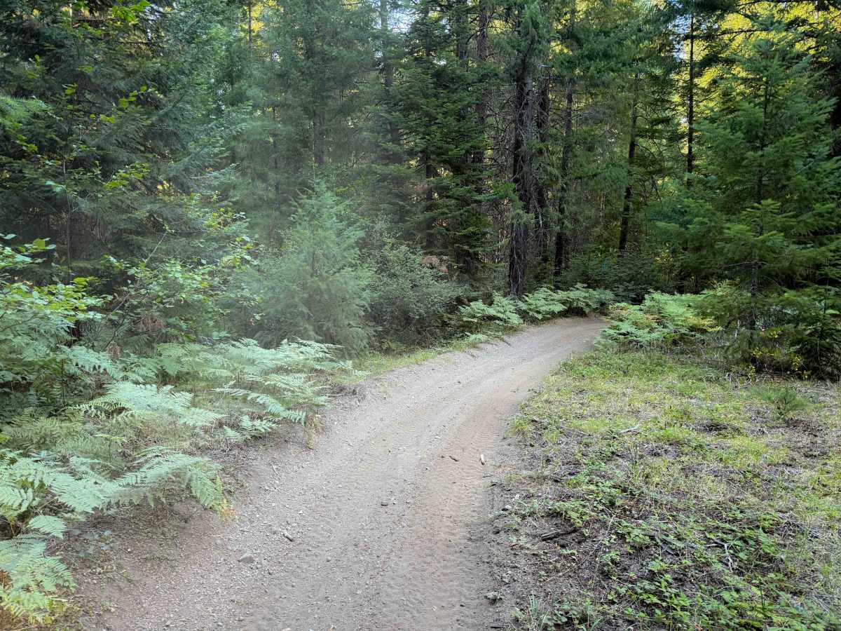 Elk Trail #24  photo 6