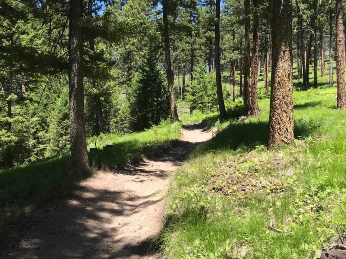 Blue Mountain Single Track photo 3