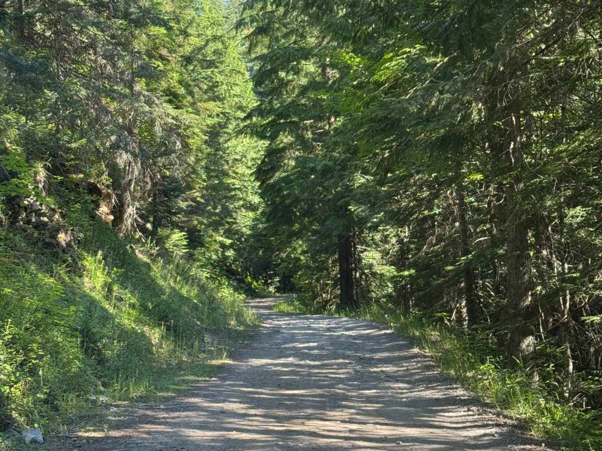 Bumblebee Creek - FS 796 photo 3