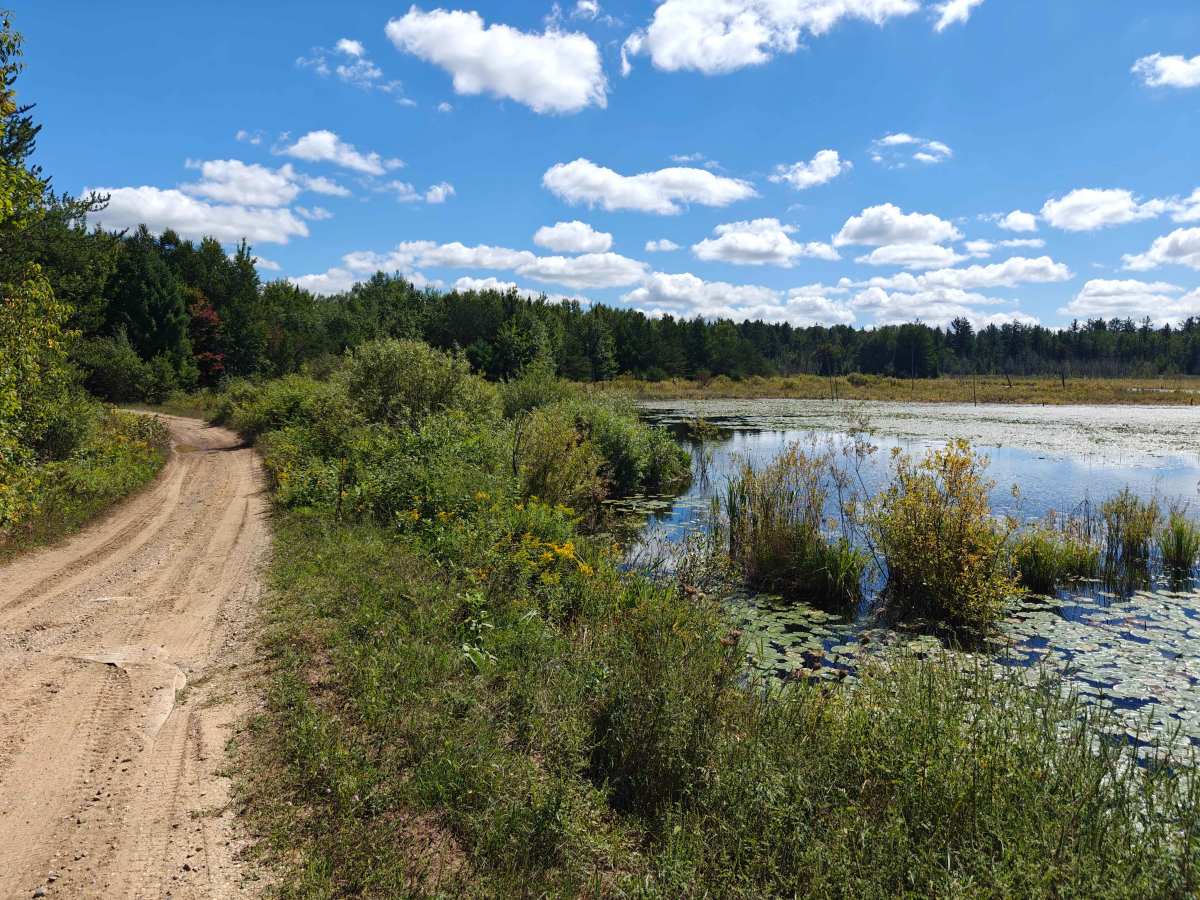 Townline Creek Trail photo 3
