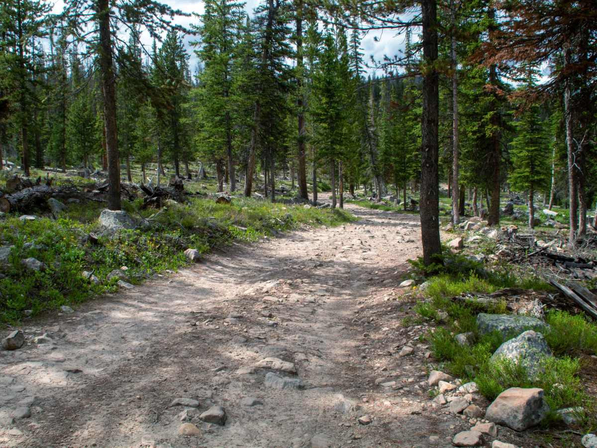 Blue Lake Loop - FS 80531 photo 5