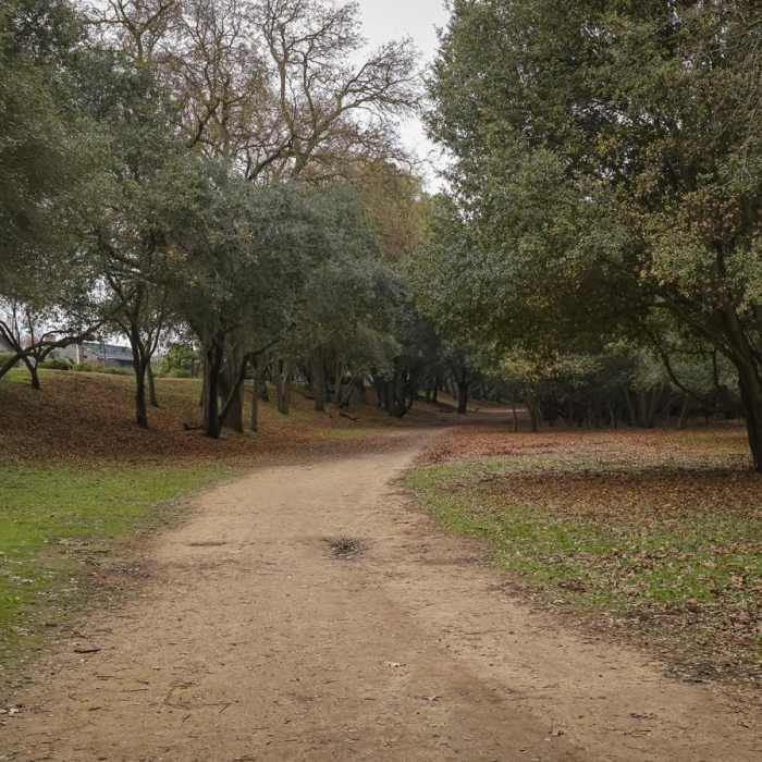 Near Lodi Lake Nature Loop