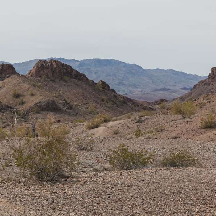 Near SARA Mountain-Wash Loop