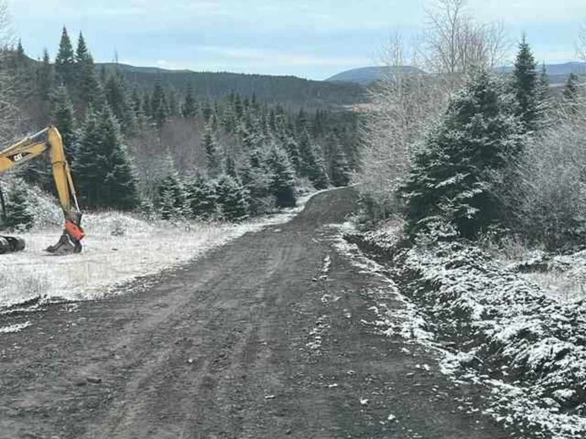 Cold Brook - Sweet Shack Warm Up Shelter trail photo