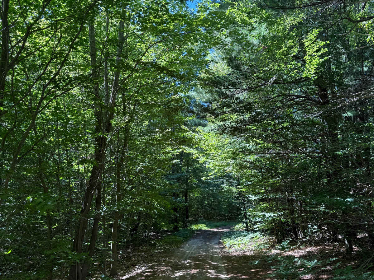 Big 4-Norconk-Swanson Connector Trail photo 5