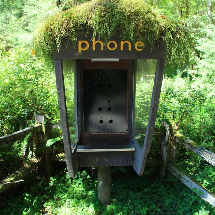 Near Spruce Nature Trail