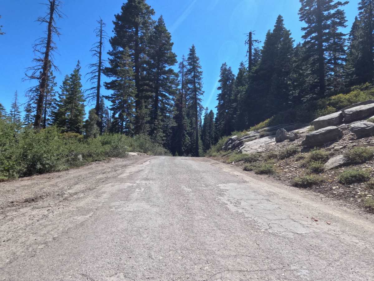 Granite Springs Road - FS 11N99 photo 3