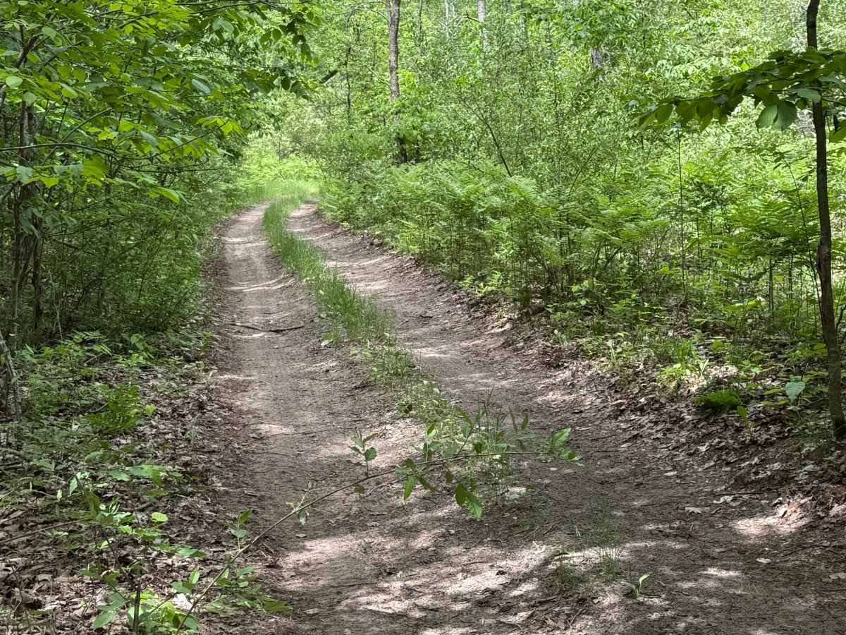 Vinton Trail South trail photo