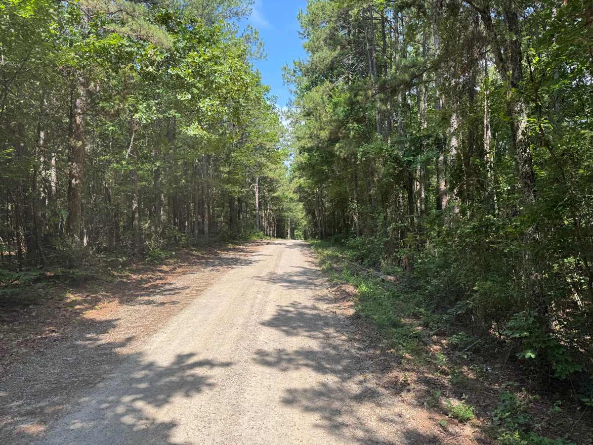 County Road 3857 photo 4