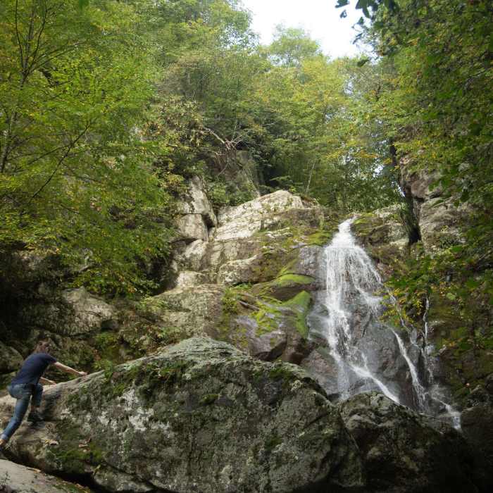 Near Stiles Falls Trail