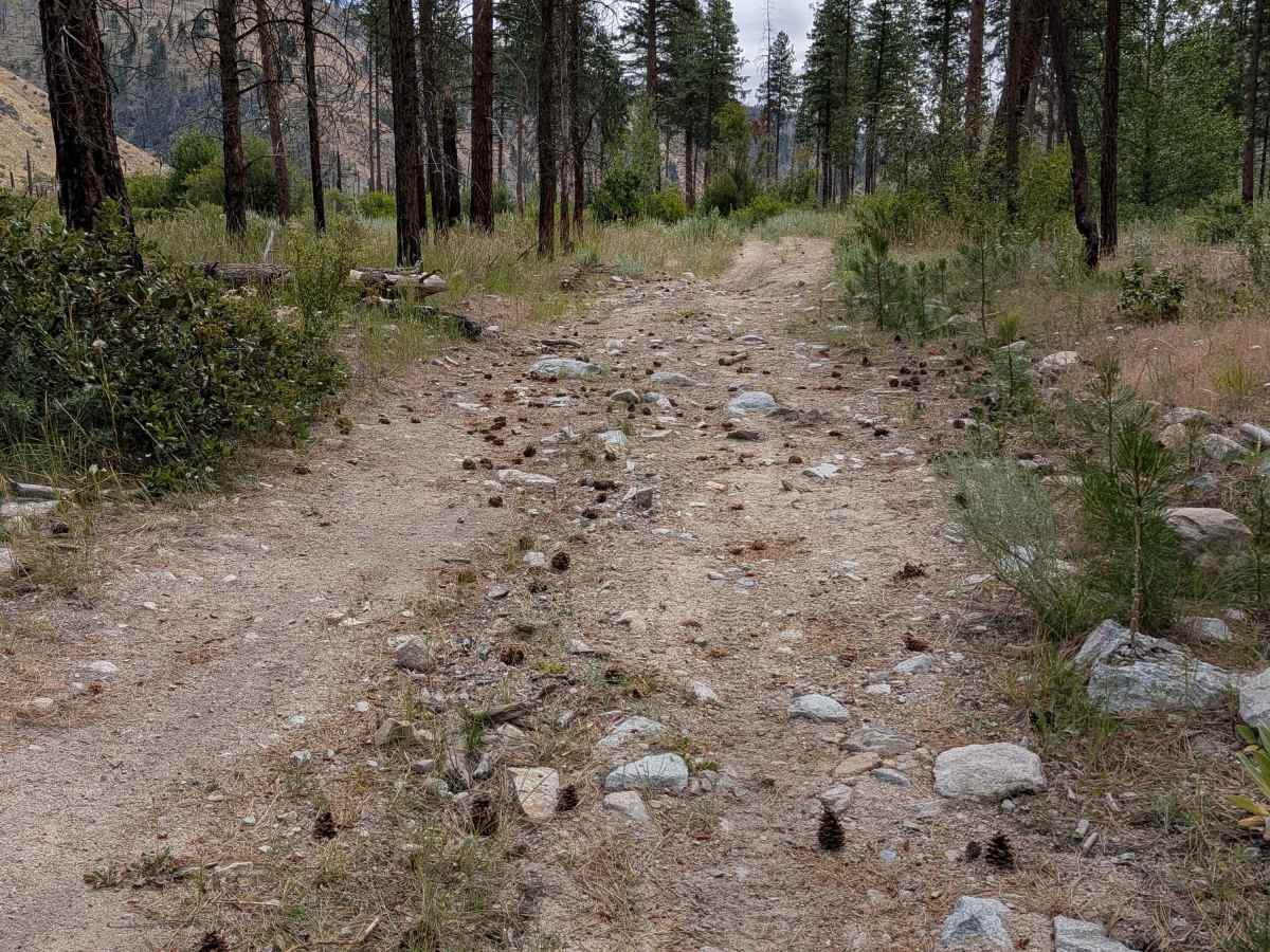FS 4100-370 trail photo