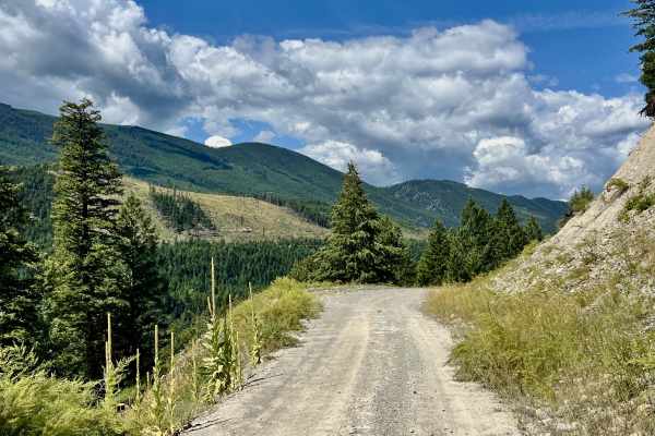 LinkLater Forest Service Road
