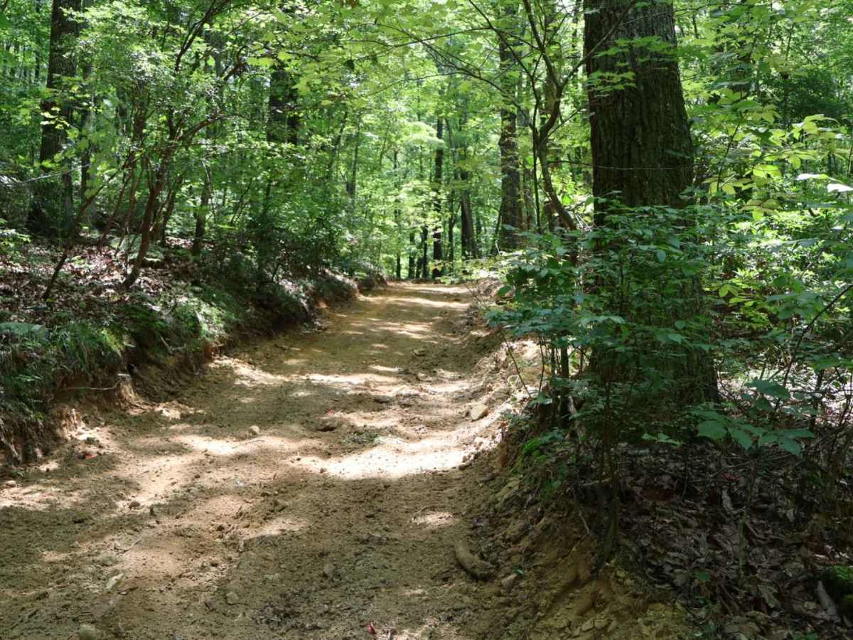 Shingle Loop photo 5